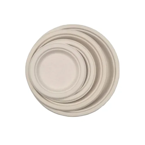 7 Inches Sugarcane Bagasse Plate